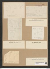 Diatomeae indet. (de-Toni-Nr.: Species 2959) Zeichnungen Sammlung Grunow Nr. 6065 (NHMW-BOT-W0374576)